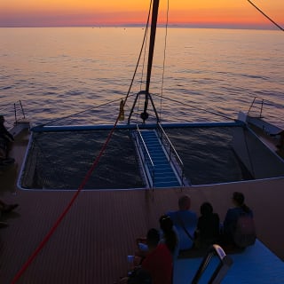 Bootsausflug bei Sonnenaufgang auf Mallorca mit Delfinbeobachtung 13