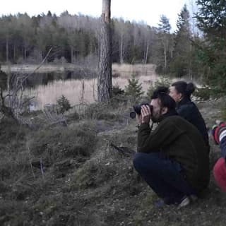 Wildlife Safari im kleinen Gruppenformat in Stockholm 6