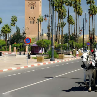 visite de marrakech-medina, souks, jardins secrets, sites & histoires 7