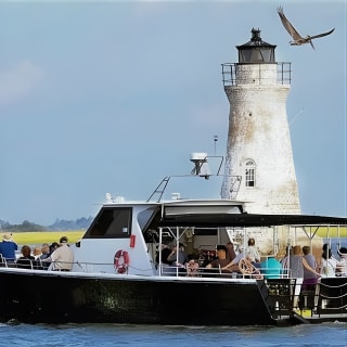 Savannah to Tybee Island with Dolphin Cruise 2