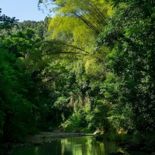 Cave, Waterfall and River Adventure in Charco Azul from San Juan 49