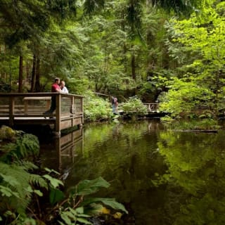 Vancouver: Capilano Suspension Bridge Park & City Tour 43