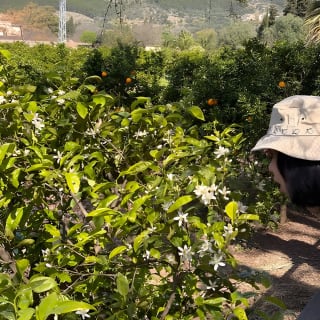 Soller Valley Walk with Orange Farm Visit 46