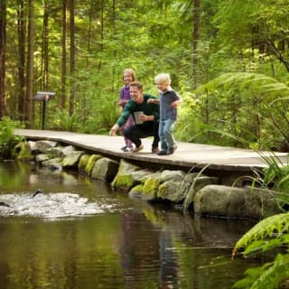 Vancouver: Capilano Suspension Bridge Park & City Tour 44