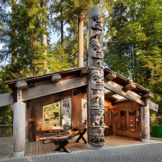 Excursión en tierra tras el crucero: Puente colgante de Capilano y Grouse Mountain 7