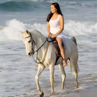 Cartagena: Paseo a Caballo por la Playa de Día o al Atardecer 8