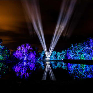 NightGarden 2026 - Waitlist 6