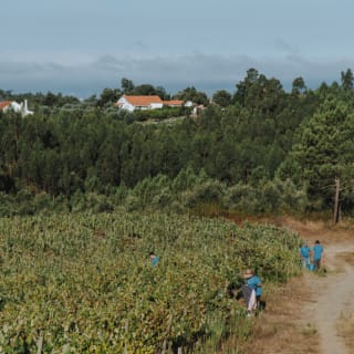 Pic nic vínico a dois! Uma experiência gastronómica em Tomar 3