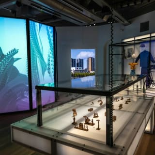 Wereldmuseum Rotterdam: Toegangsticket 6