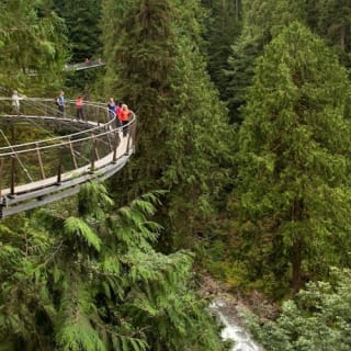 Vancouver: Capilano Suspension Bridge Park & City Tour 54
