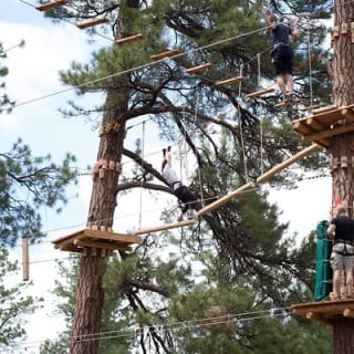 Flagstaff Extreme Adventure Course-Adult Course 2