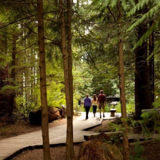 Vancouver: Capilano Suspension Bridge Park & City Tour 57