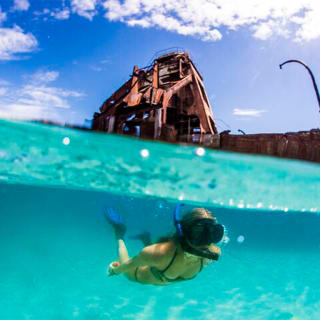 Day Cruise to Tangalooma Island Resort on Moreton Island 2