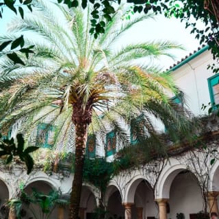 Palace of Viana & Patios: Guided Tour 3