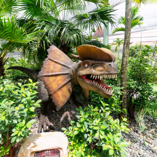 clubFACE: Dino Putt - Eine jurassische Mini-Golf-Expedition 5