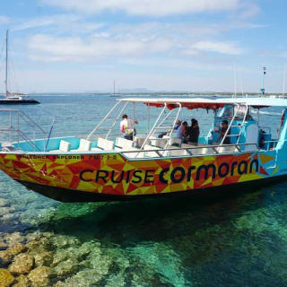 Santa Ponsa: giro in barca con grotte, calette e snorkeling nella costa sud-ovest 3