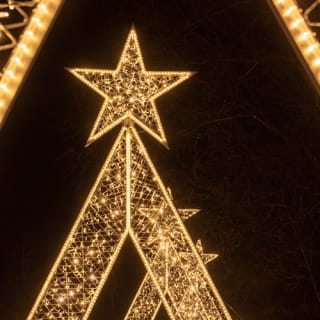 Els Llums de Sant Pau: El Jardín de la Navidad 4