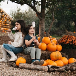 Hobbledown Heath: London's Largest Adventure Playground 2