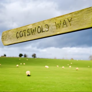 Shakespeare's Stratford-upon-Avon und Cotswolds Tour ab London 17