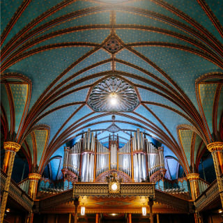 Offre combinée: Visite touristique + L’expérience AURA à la basilique Notre-Dame de Montréal 2