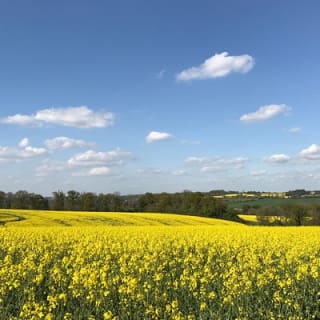 Cotswolds Villages Full-Day Small-Group Tour from Oxford 6