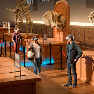 DinoVerse – une expérience VR immersive 4