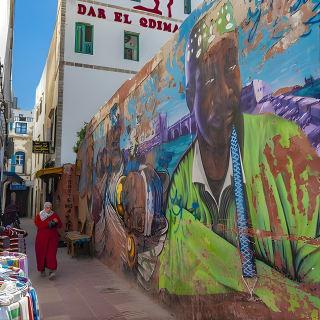Depuis Marrakech : Excursion d'une journée à Essaouira 15