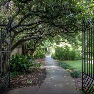 Hidden Alleyways and Historic Sites Small-Group Walking Tour 7