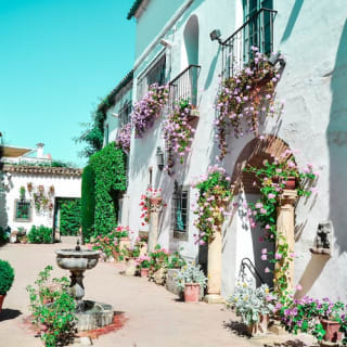 Palace of Viana & Patios: Guided Tour 5