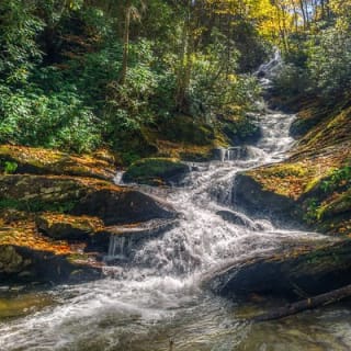 Half Day Hike - Water Falls 4