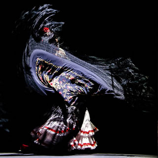 Premium Experience at Flamenco Theater Seville 2