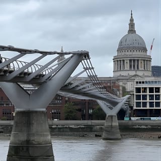 The Best of London in one day (Private tour in Spanish) 9