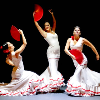 Premium Experience at Flamenco Theater Seville 3