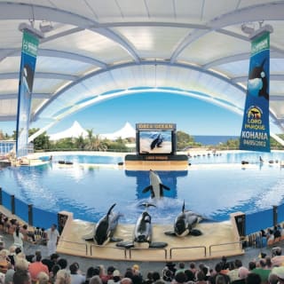 Loro Parque: Entrada 3