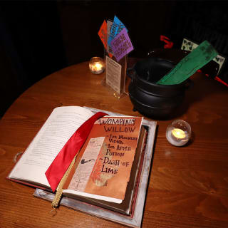 Wizards and Wands Experience: Magical Mixology - San Diego 5