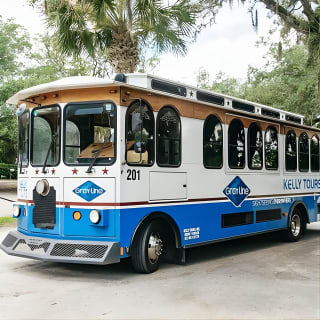 Savannah to Tybee Island with Dolphin Cruise 3