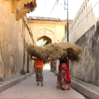 3-Hour Morning Bike Tour of Jaipur 12