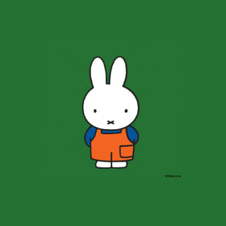 Miffy's 70th Birthday at Queens Botanical Garden 1