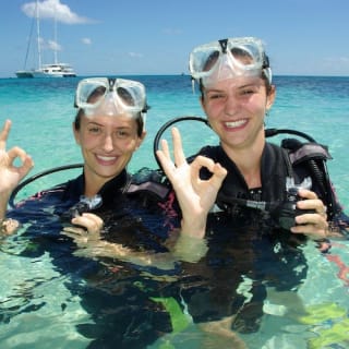 Michaelmas Cay Great Barrier Reef Sailing Cruise from Cairns 1