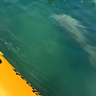 Adventure Water Bike in Condado Lagoon, San Juan 19