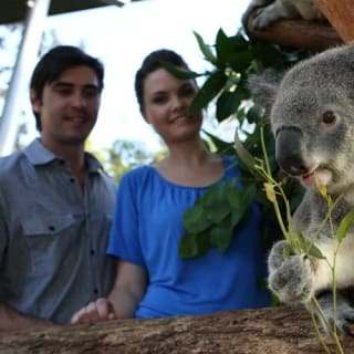 Taronga Zoo Sydney: biglietto d'ingresso + traghetto di ritorno 5