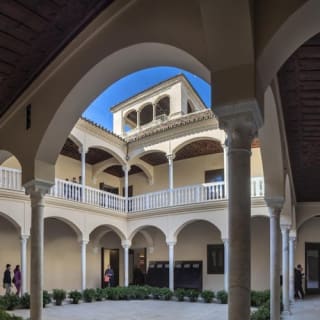 Picasso Museum Malaga: Guided Tour 20