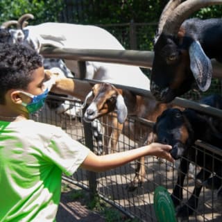 Central Park Zoo: Total Experience 4
