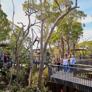Taronga Zoo Sydney: biglietto d'ingresso + traghetto di ritorno 11