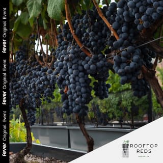 Wine In: An Exquisite Online Wine Experience (Delivery Included!) 2
