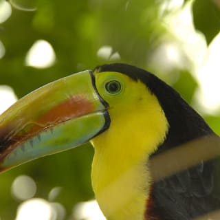 Central Park Zoo: Total Experience 5
