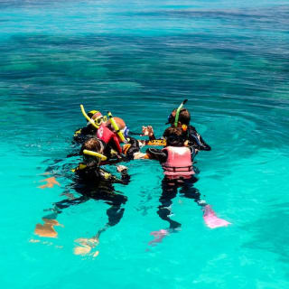 Michaelmas Cay Great Barrier Reef Sailing Cruise from Cairns 6