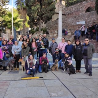 Picasso Museum Malaga: Guided Tour 24