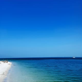 Half-Day Private Tiki Boat Beach Tour ab Fort Myers 11