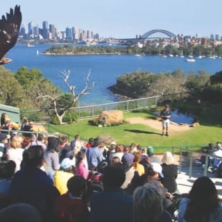 Taronga Zoo Sydney: biglietto d'ingresso + traghetto di ritorno 20